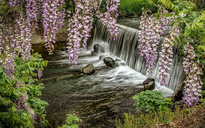waterfall, river, spring flowers, mountain river, beautiful waterfall, japan, HD wallpaper