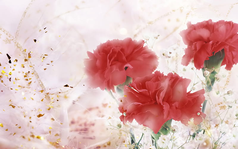 Carnations, flowers, gold, red carnations, glitter, HD wallpaper