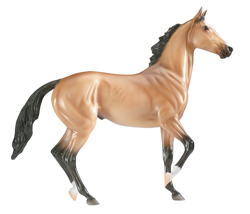 breyer horse that i used to have, akhal teke, limited edition, lonesome glory, chestnut, golden buckskin, HD wallpaper