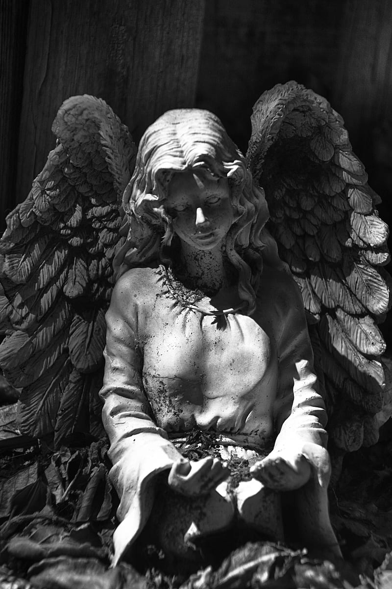 Fred Higgins, , statue, monochrome, angel, wings, HD phone wallpaper