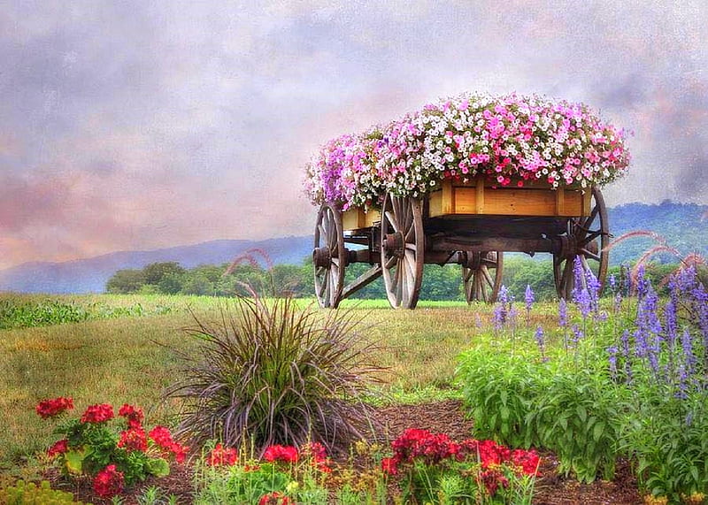 Enjoy the Ride, graphy, wagon, flowers, love four seasons, nature, spring, attractions in dreams, pink, HD wallpaper