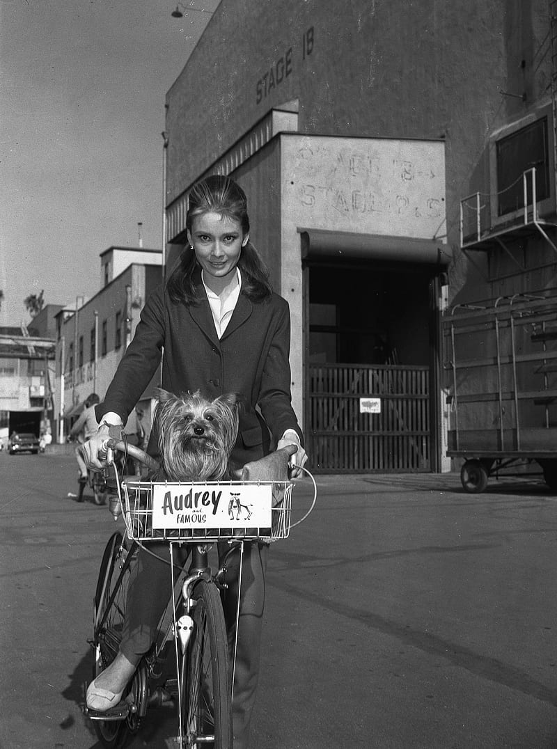 Audrey Hepburn, monochrome, women, actress, dog, HD phone wallpaper