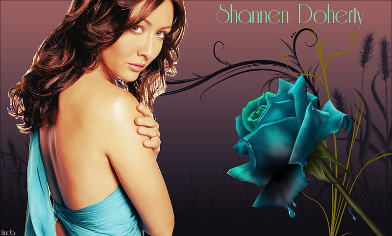Shannen Doherty, bluerose, beverlyhills90210, actress, charmed, shannendoherty, HD wallpaper