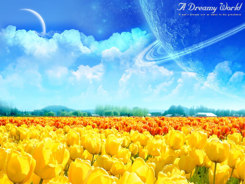 A Dreamy World - Digital Landscape manipulation 03, HD wallpaper