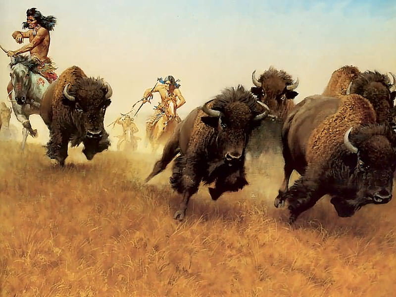 The Buffalo Runners, buffalo, painted, runners, american native, HD wallpaper