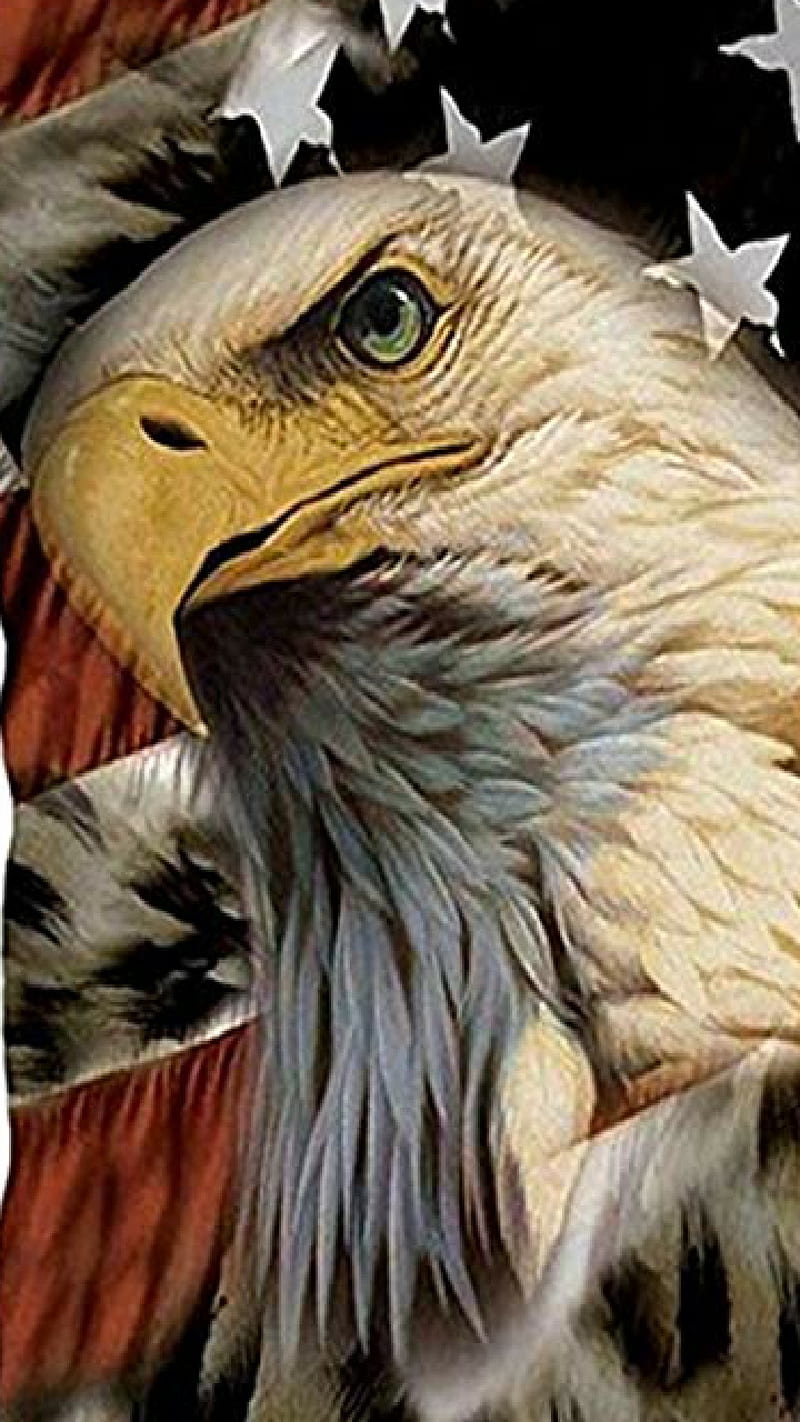 Eagle eye, usa, storm, qanon, trump, political, bald eagle, american, flag, patriotic, HD phone wallpaper