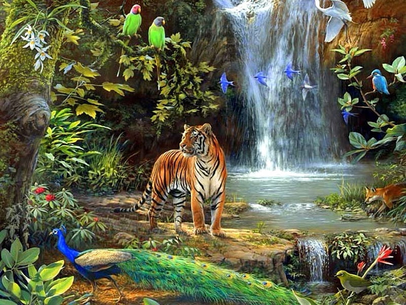 Enchanted Valley, peacock, colors, birds, tiger, attractions in dreams, waterfalls, big wild cats, paintings, summer, nature, tropical, animals, HD wallpaper