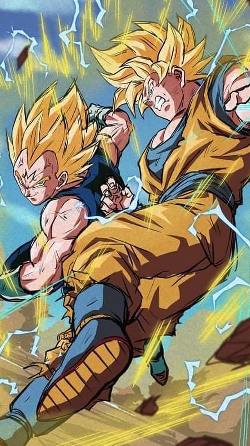 SSJ2 Vegeta and Goku, dbz, dokkan, dokkan battle, goku, super saiyan, vegeta,  HD phone wallpaper