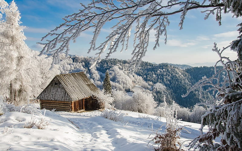 Winter in Poland, Poland, hoarfrost, hut, winter, mountains, HD wallpaper