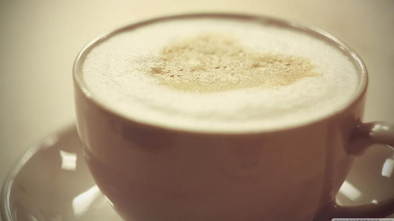 Capuccino, drinks abstract, softness, graphy, coffee cup, morning, HD wallpaper