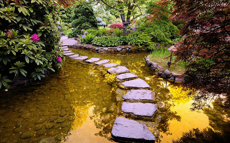 Walk with Me, pretty, water, plants, garden, stepping stones, trees, shrubs, HD wallpaper