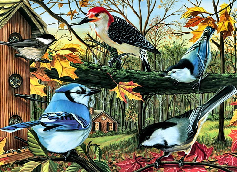 Songbird Group F, art, Nuthatch, artwork, Red-headed Woodpecker, Chickadees, animal, bird, avian, painting, Blue Jay, wide screen, wildlife, Redheaded Woodpecker, HD wallpaper