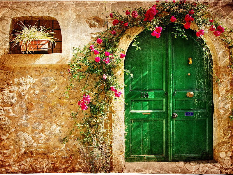 Door, architecture, bonito, abstract, wall, graphy, green, flower, flowers, nature, old door, HD wallpaper