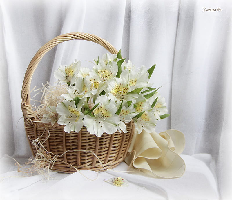 Still life, beautiful, elegantly, gently, graphy, nice, cool, bouquet ...