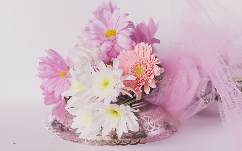 pink chrysanthemums, spring flowers, floral decoration, spring, bouquet of flowers, HD wallpaper