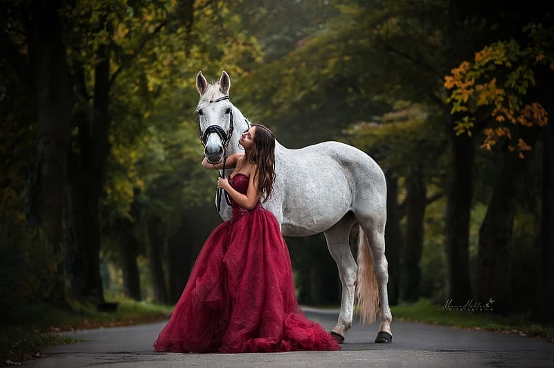 Love at first neigh ㋡, Brunette, Bridle, Girl, horse, Beauty, Trees, red dress, long hair, HD wallpaper
