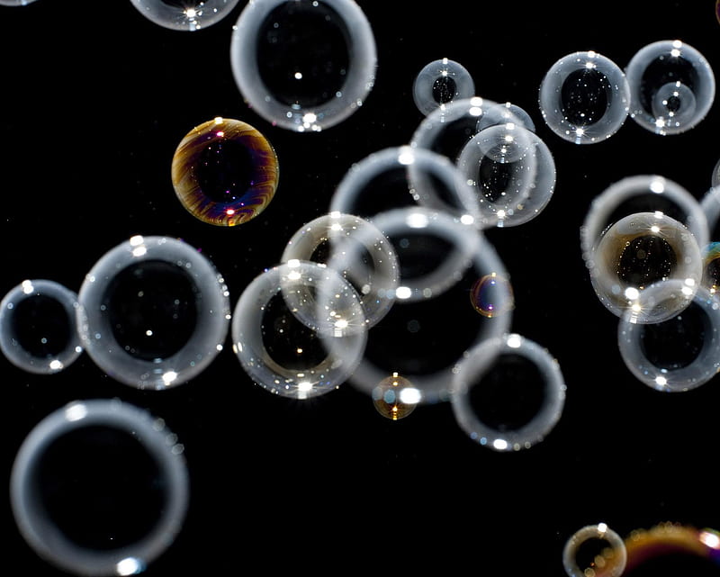 Bubbles, background, bubble, circle, soap, HD wallpaper