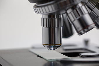 750 Microscope Pictures HD  Download Free Images on Unsplash