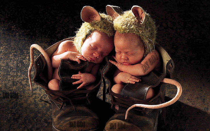 two human mice, infant, human, two, mouse, mice, shoe, baby, HD wallpaper