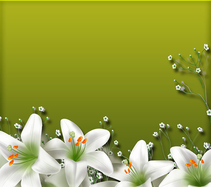 White Lillies, abstract, flowers, nature, HD wallpaper