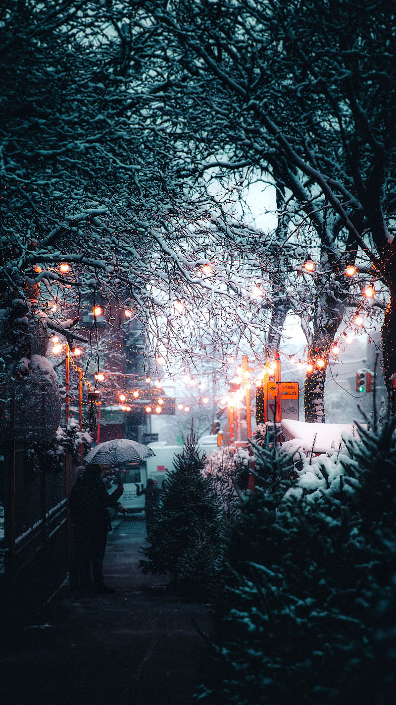Winter, snow, tree, city, new york, new, wolf, light, lighting, modern, HD phone wallpaper
