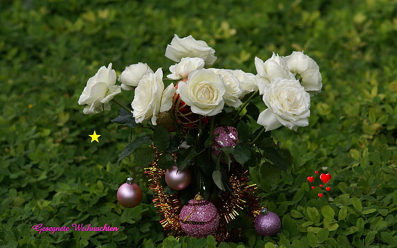 Winter roses, still life, bouquet, winter, white roses, HD wallpaper ...