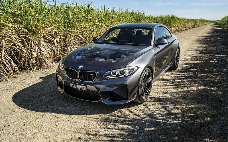 BMW M2 Coupe, 2016, Grey BMW, field road, new M2, HD wallpaper