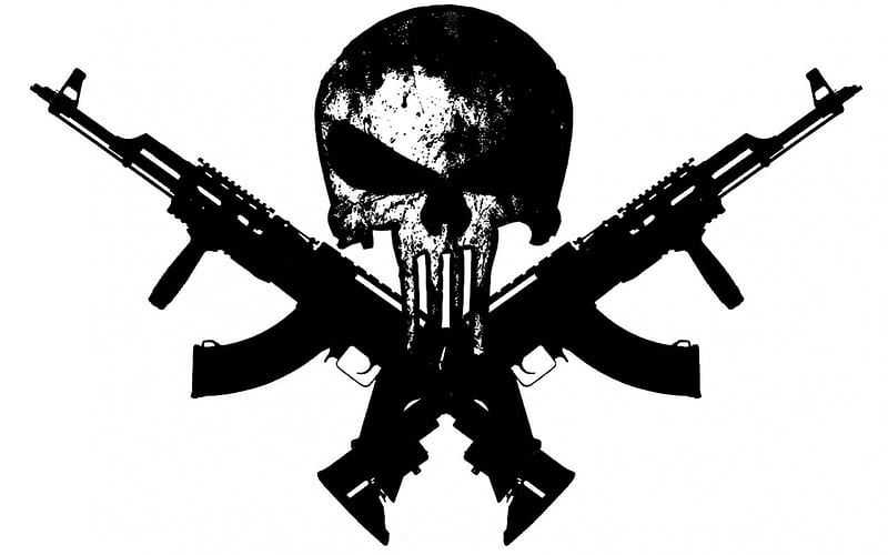 Punisher Skull Rifle HD 4K Wallpaper #6.2751