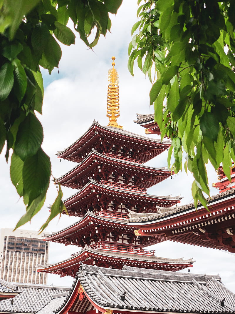 temple, pagoda, building, architecture, japan, HD phone wallpaper