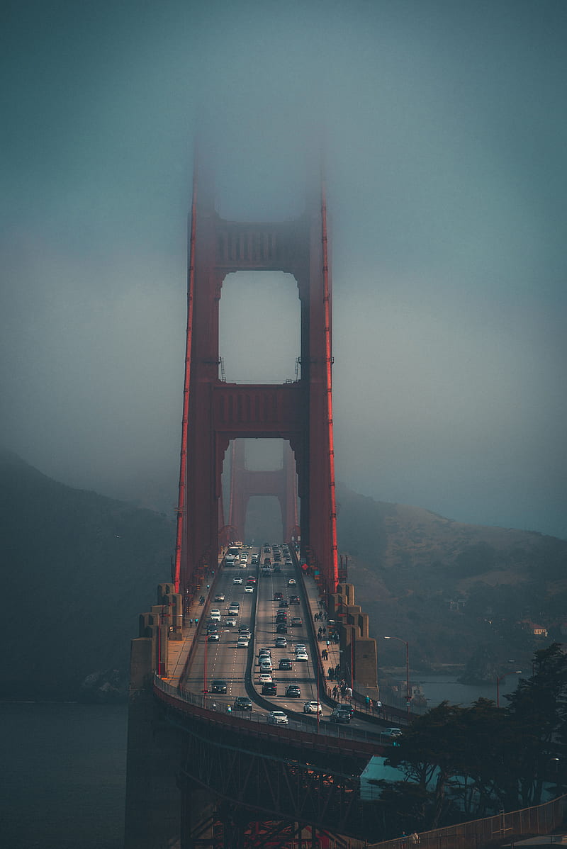 bridge, fog, city, movement, HD phone wallpaper