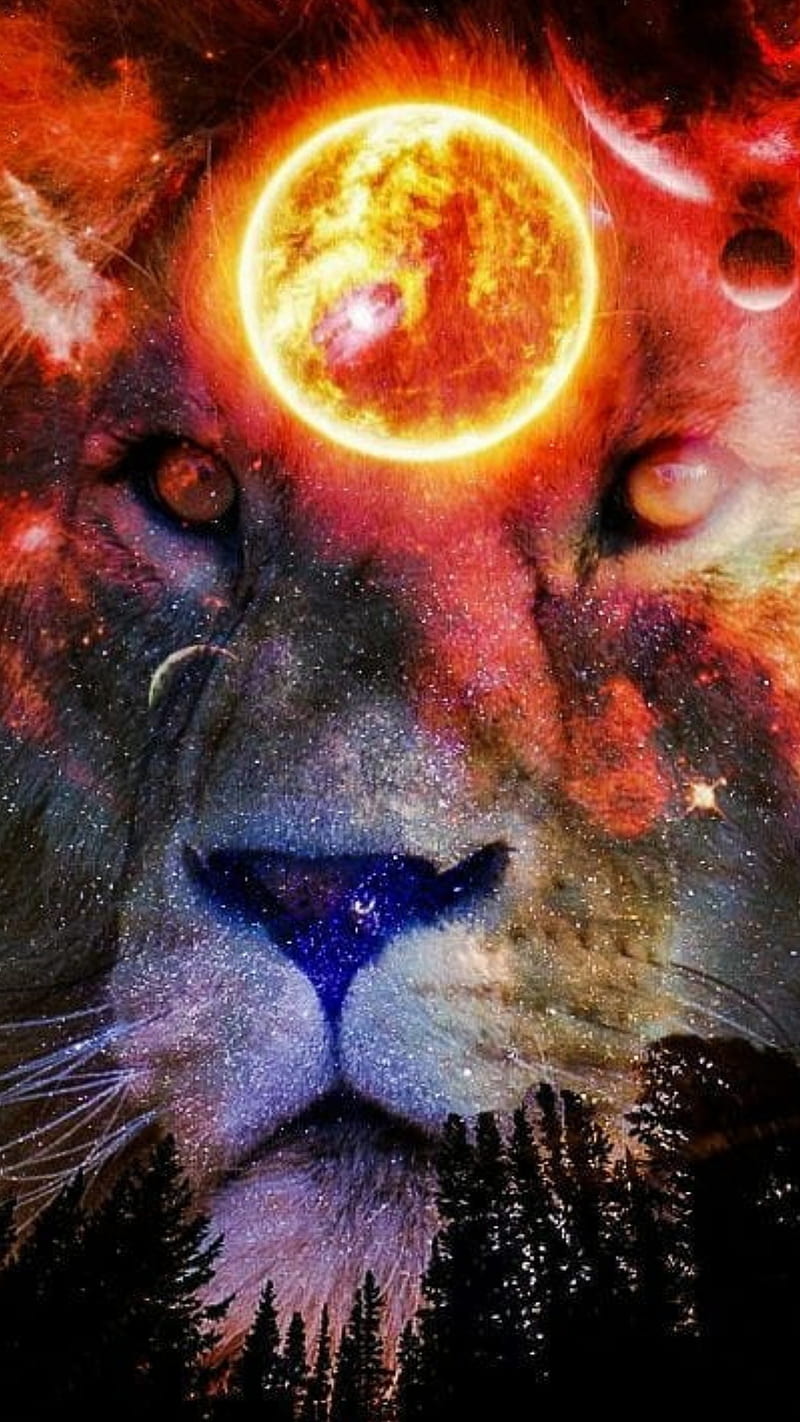 LION GALAXY black cool galaxy king land lion lions sun HD phone  wallpaper  Peakpx