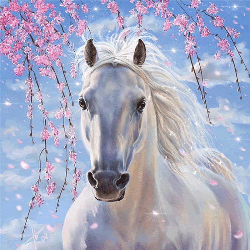 white horse, spring, blue sky, pink blossom, HD wallpaper