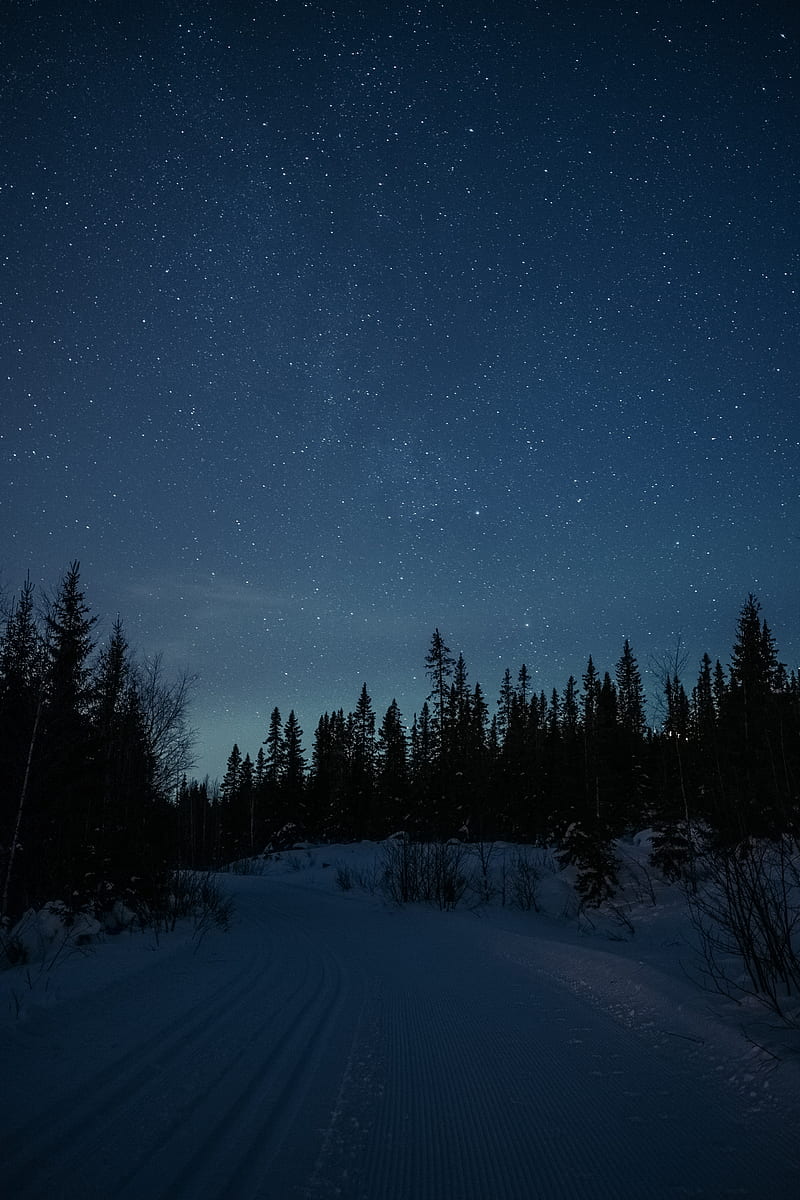 road, snow, stars, night, forest, winter, HD phone wallpaper