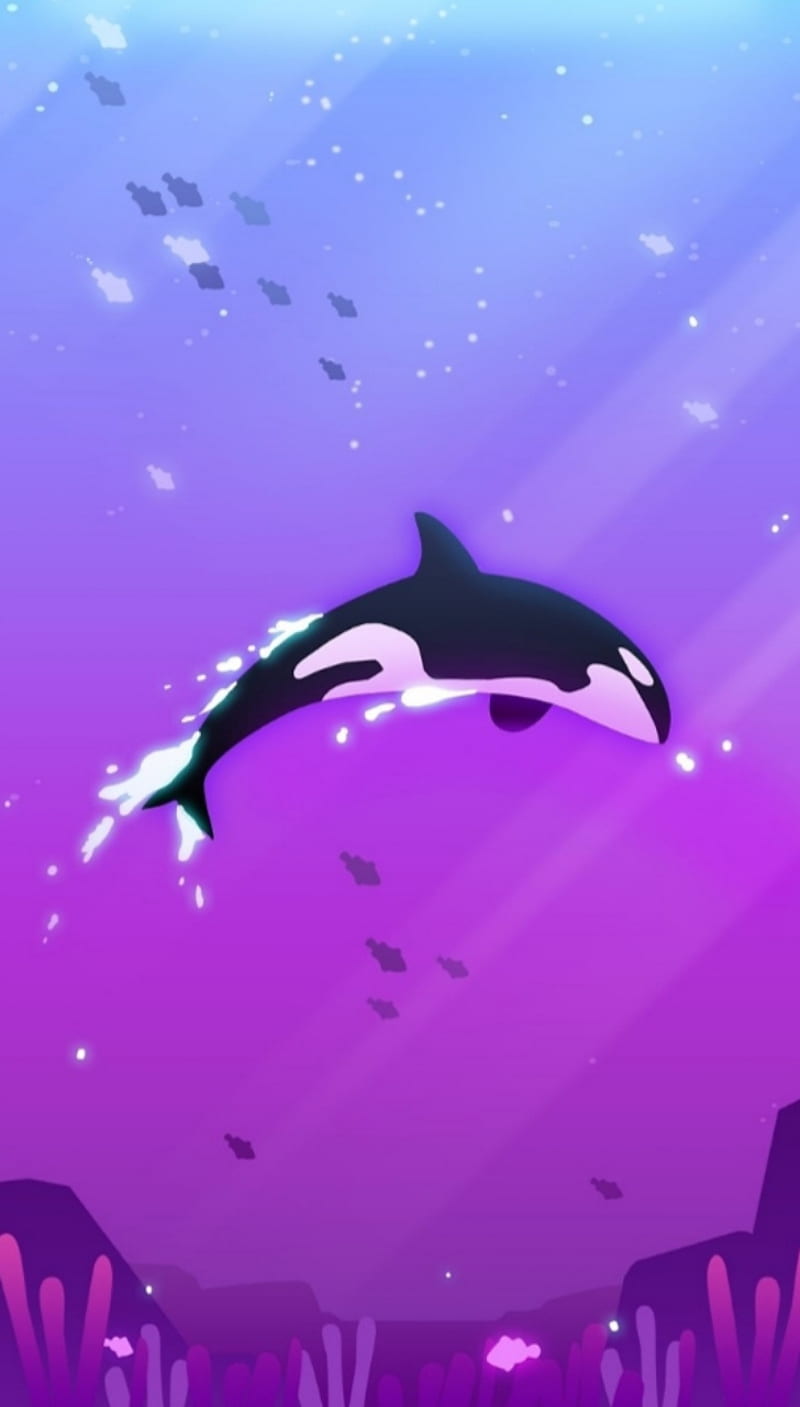 Orca, pretty, purple, whale, HD phone wallpaper