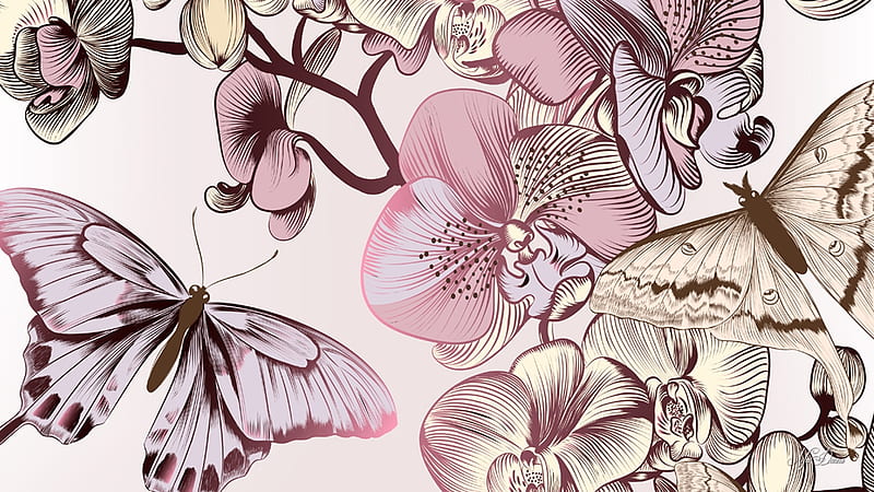 Butterflies & Orchids, exotic, dramatic, butterflies, floral, orchids, purple, flowers, Firefox Persona theme, vector, HD wallpaper