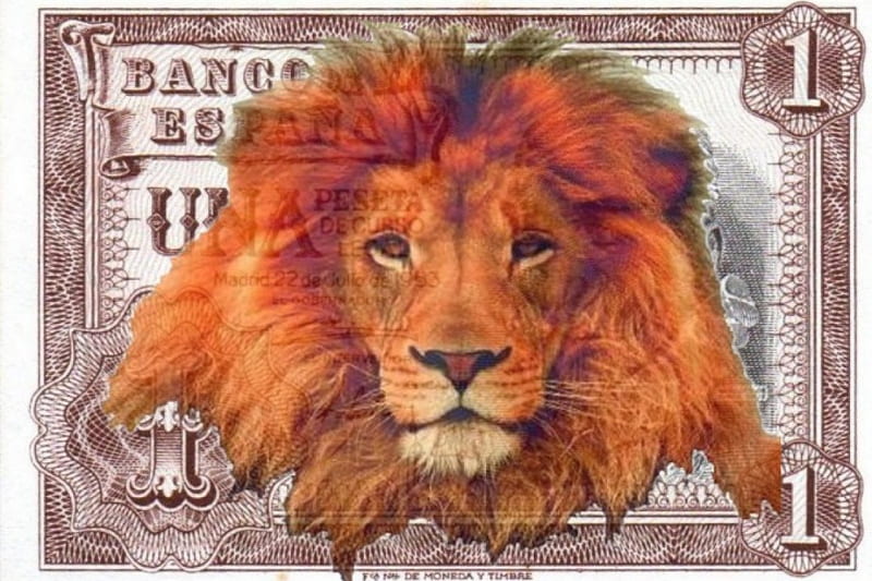 lion, currency, value, peseta, HD wallpaper
