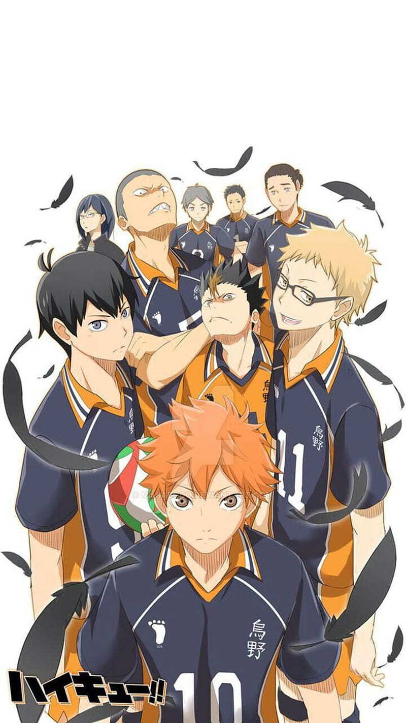 Karasuno Team, volleyball team, HD phone wallpaper