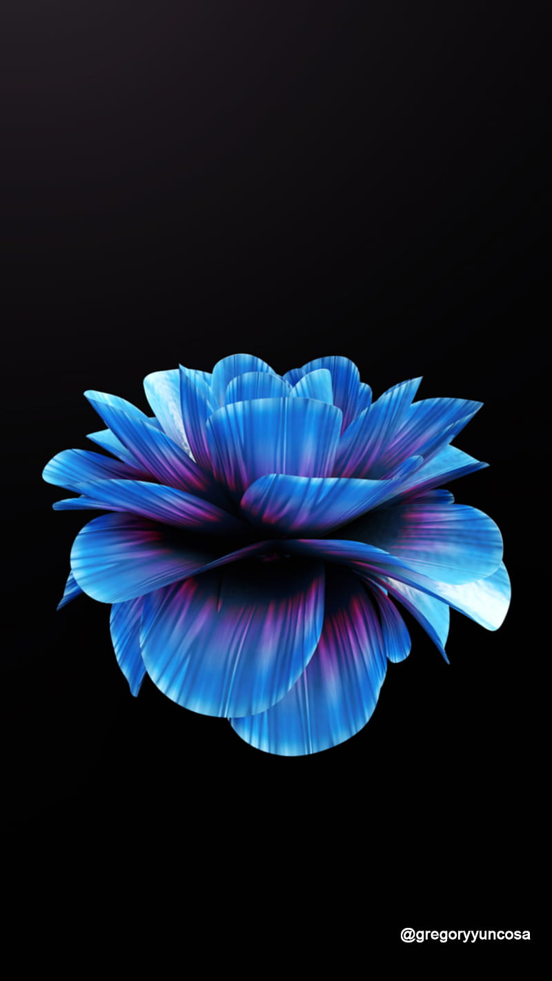 Blue Rose, 3d, flower, lotus, nature, purple, summer, theme, HD phone  wallpaper | Peakpx