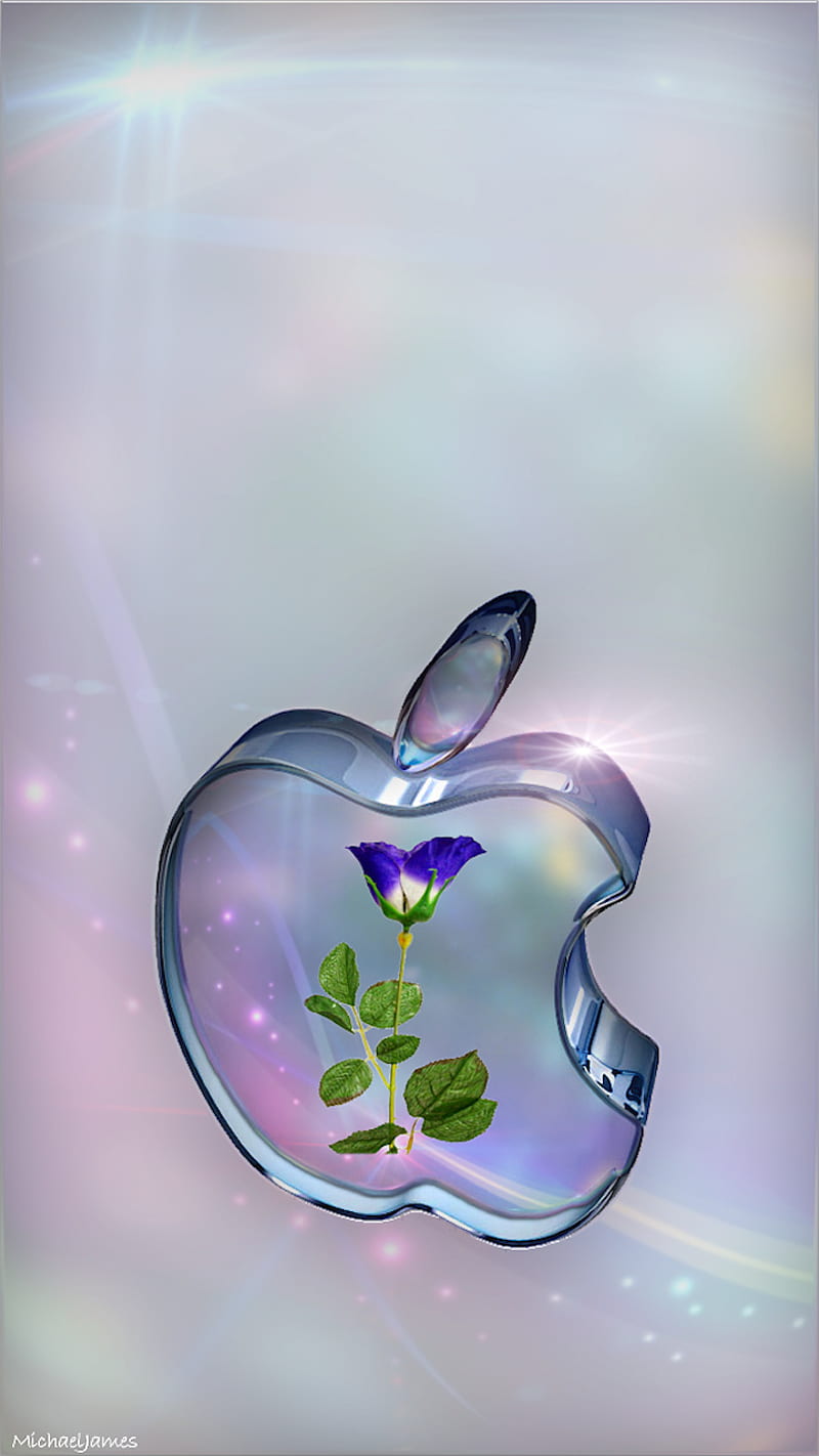 Rosa en vidrio, manzana, flor, logo, amor, Fondo de pantalla de teléfono HD  | Peakpx