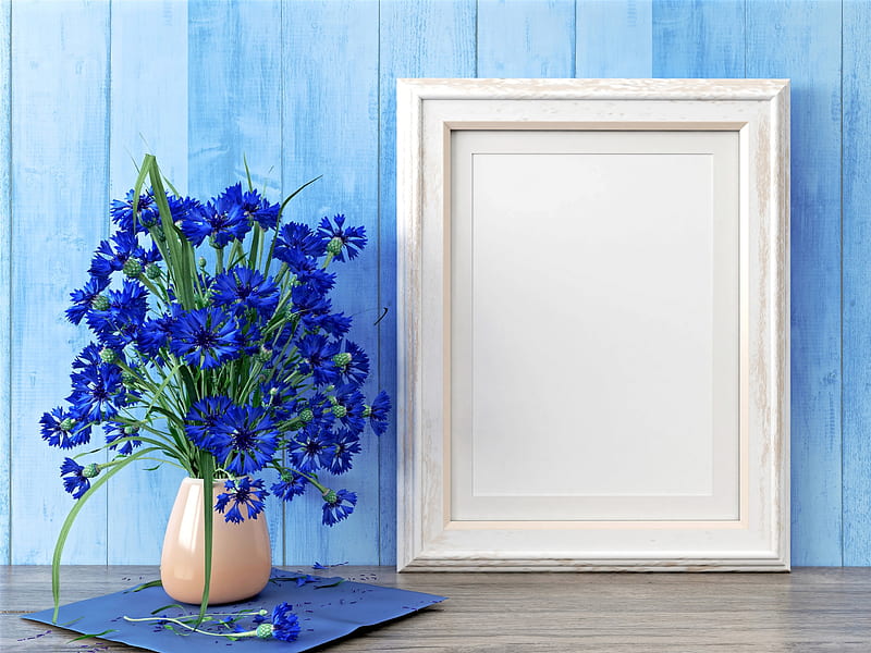 :-), deco, cornflower, frame, vase, card, bouquet, summer, flower, white, blue, HD wallpaper