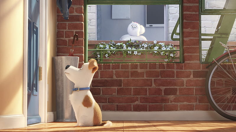 Max dog, 3d-animation, The Secret Life Of Pets, HD wallpaper
