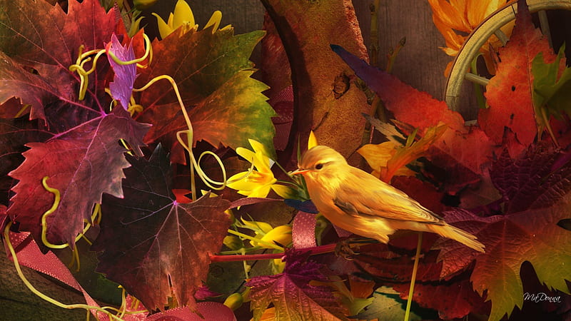 Spring of Autumn, fall, colorful, autumn, orange, breeze, foliage, leaves, gold, amber, bright, season, wheel, change, maple, wind, bird, summer, HD wallpaper