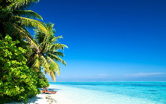 Ocean, tropical island, palms, beach, sand, sea, waves, travel concepts ...