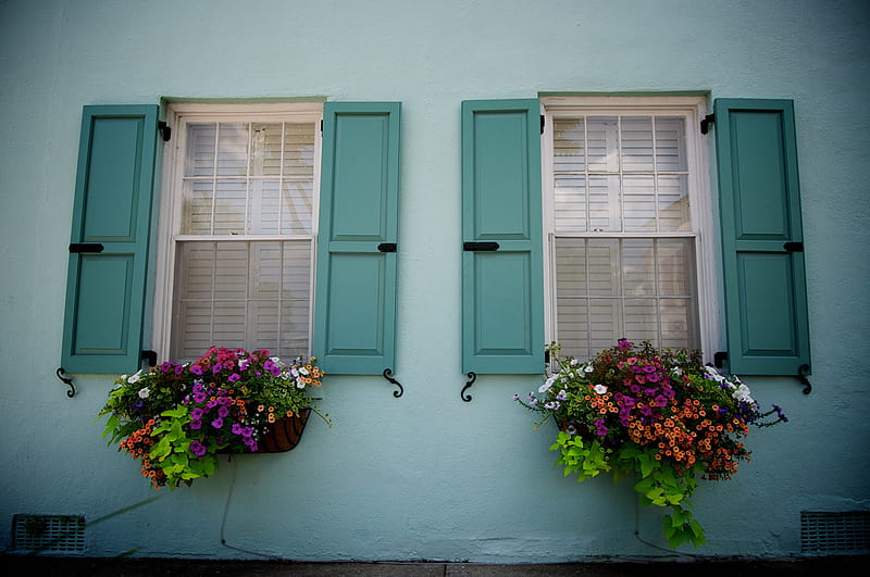 Southern Charm, windows, arhitecture, flowers, places, beauty, colours, blue, historic, HD wallpaper