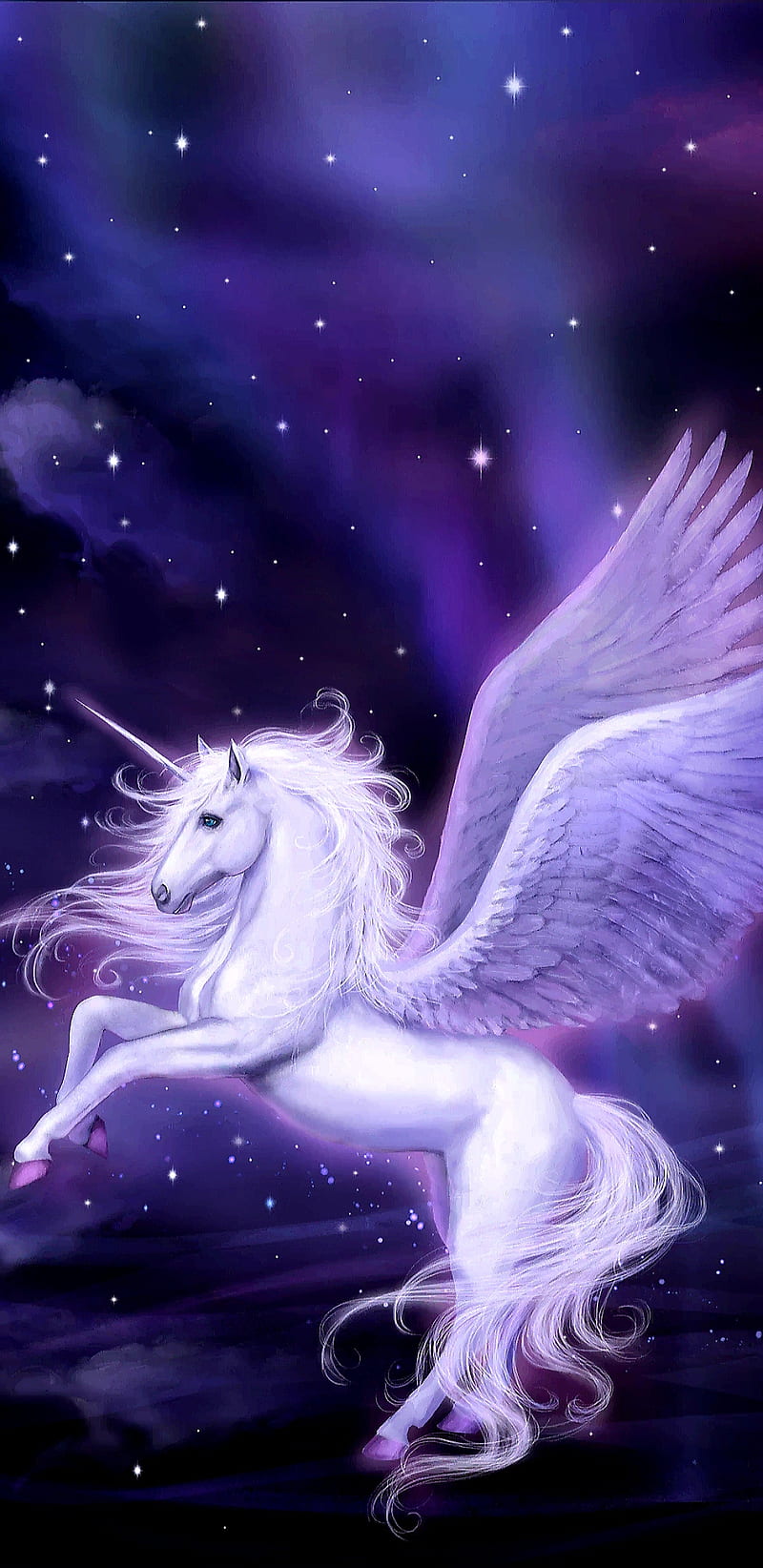 Guardian Of Unicorns, bonito, galaxy, girly, guardians, horse, pretty, unicorn, wings, HD phone wallpaper