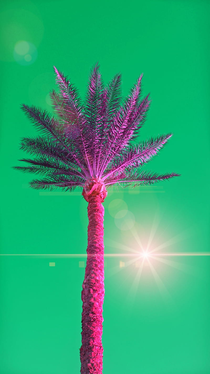Green World, beach, nature, outdoors, graphy, psicodelia, retrowave, surreal, synthwave, tropical, vaporwave, HD phone wallpaper