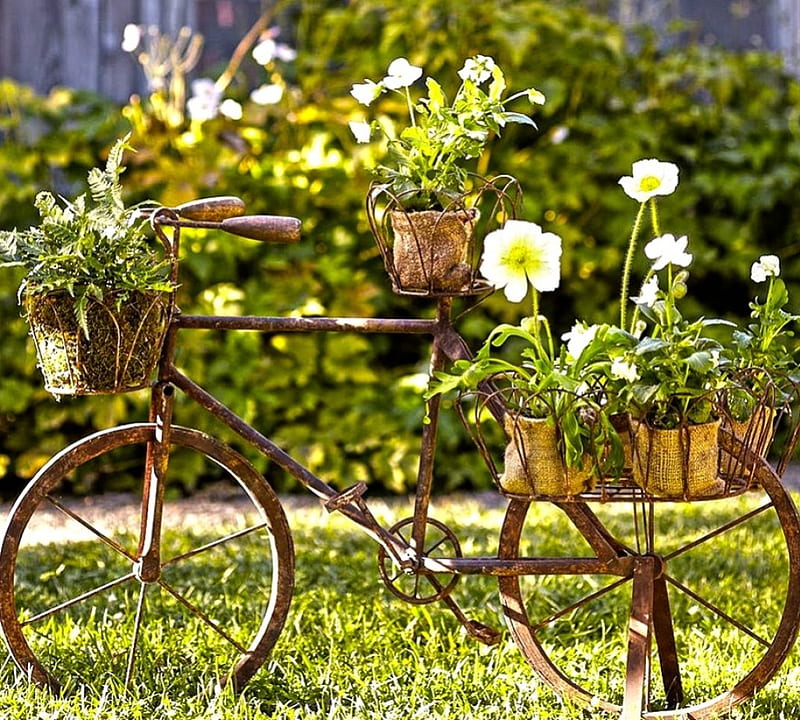 *Vintage garden decor*, grass, bicycle, old, decor, pots, green, plants, flowers, garden, r, bike, vintage, HD wallpaper