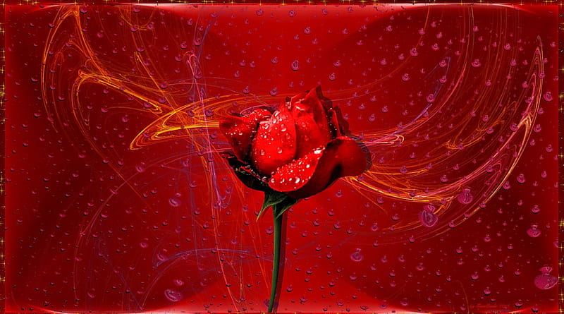 romance and passion, emotions, red rose, art, thought, romance, heart, flowers, HD wallpaper