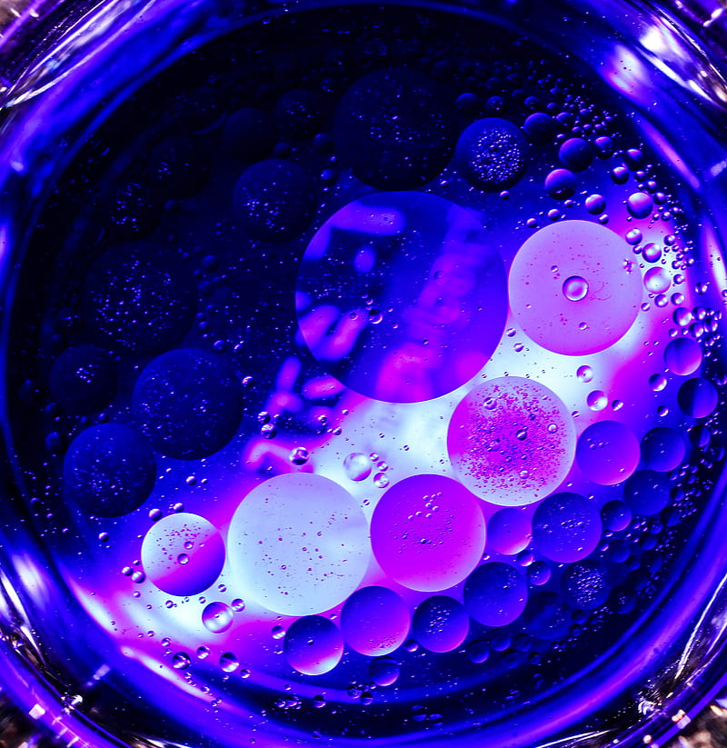 circles, bubbles, purple, macro, HD phone wallpaper