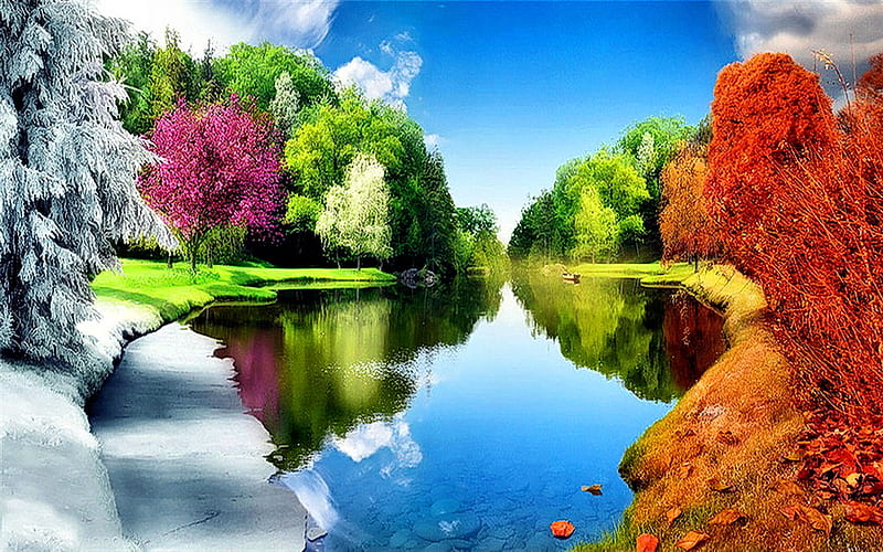 Four faces of nature, forest, four seasons, river, trees, changes, HD wallpaper